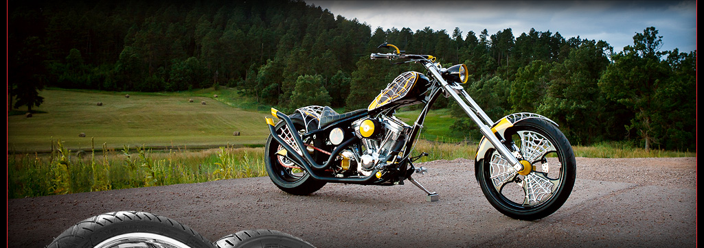 Paul Jr Anti-Venom Bike Sturgis 2010
