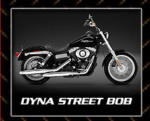 renegade assault bike