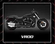 renegade assault bike